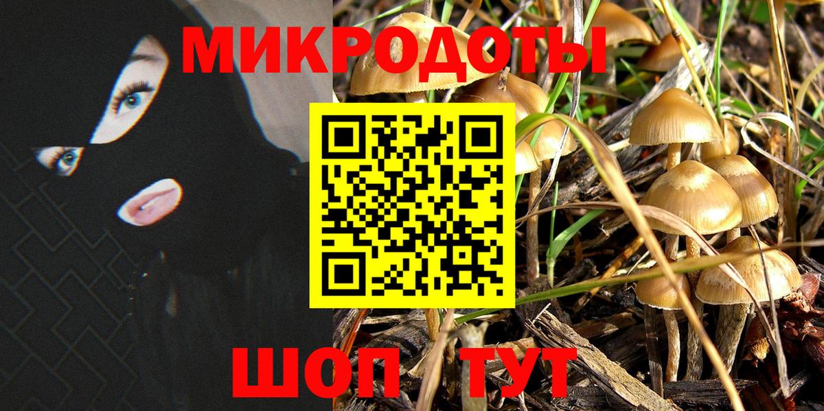 Сорочинск  Псилоцибиновые грибы Psilocybine cubensis  Вход с VPN 