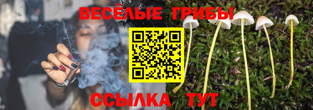 Галлюциногенные грибы GOLDEN TEACHER Сорочинск
